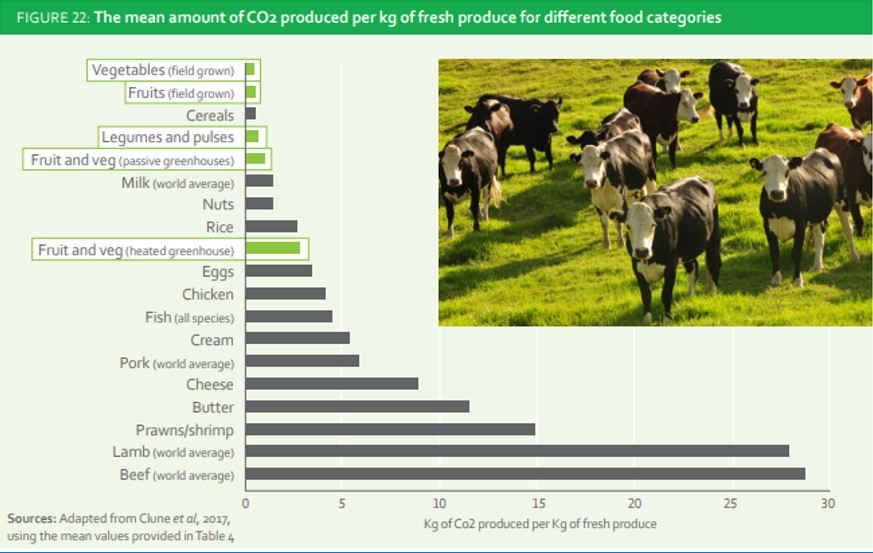 CO2 produced per food category
