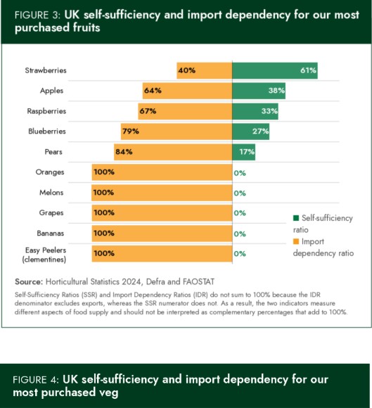UK fruit import dependency