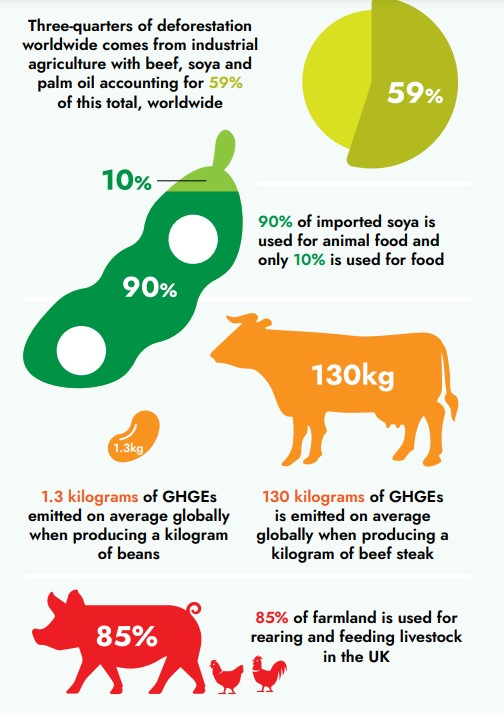 What are UK food companies doing to support the transition away from industrial meat? 