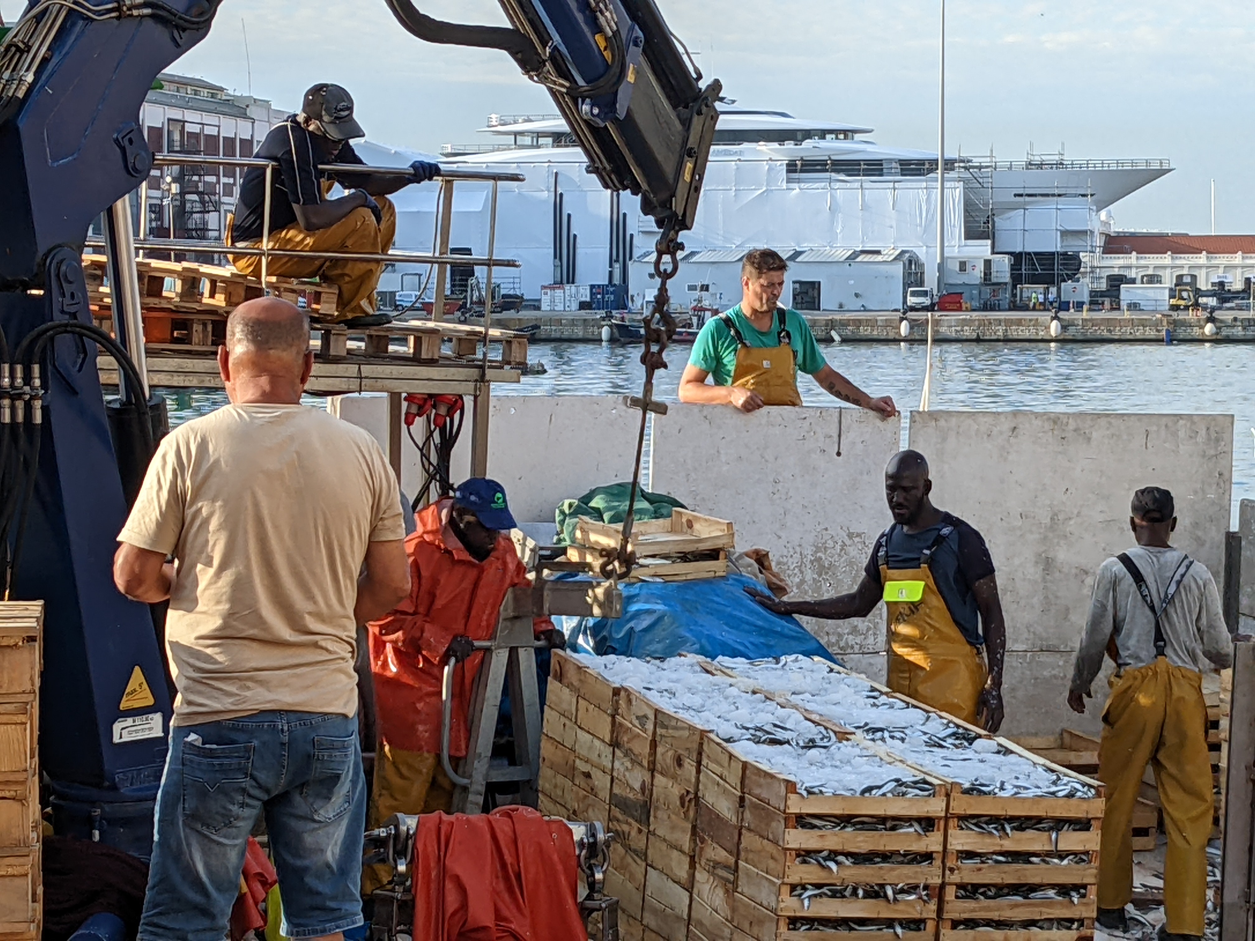 Food production image