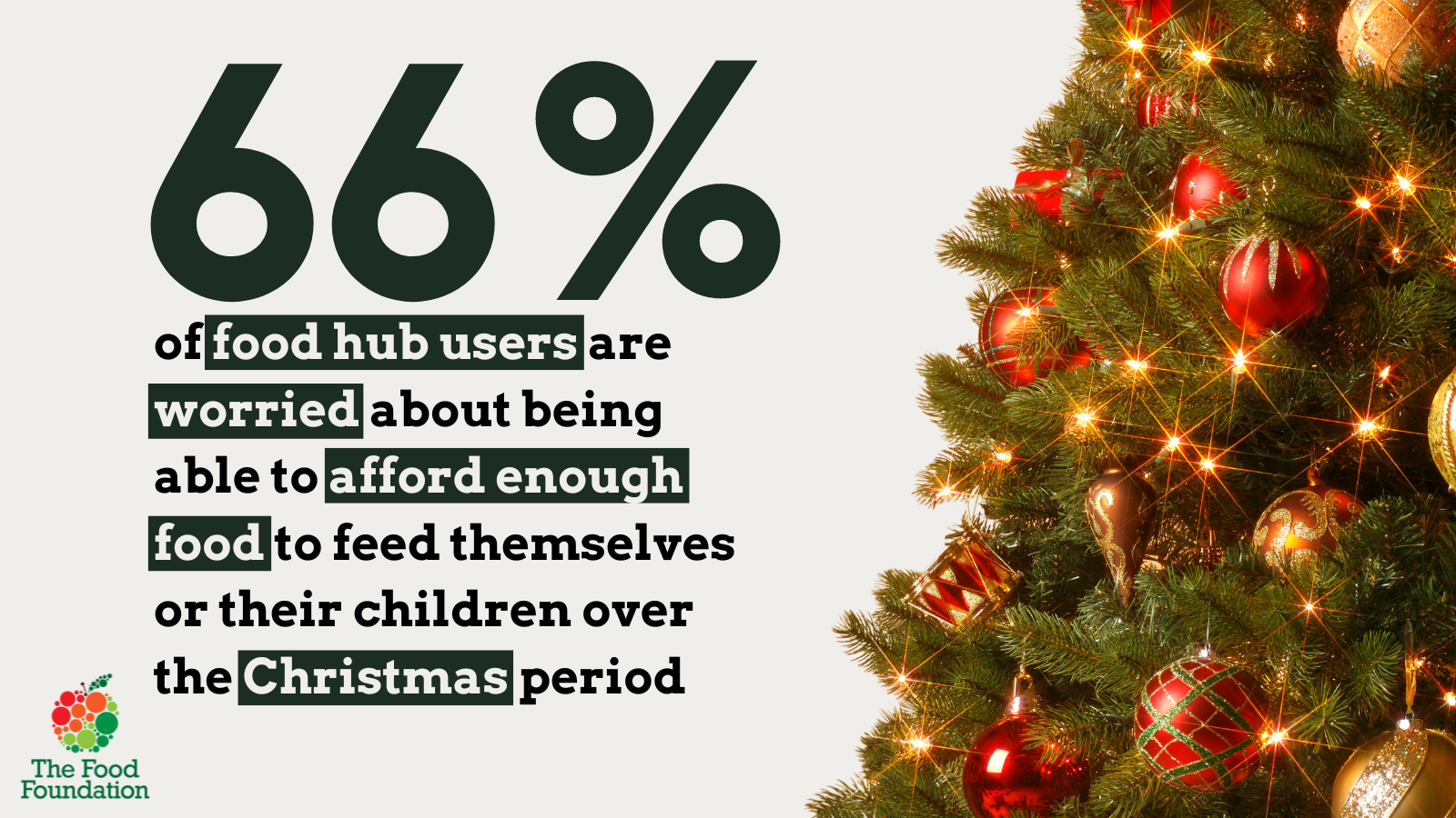 A Christmas seen in the foreground and a stat reading: 66% of food hub users are worried about being able to themselves or their children over the Christmas period