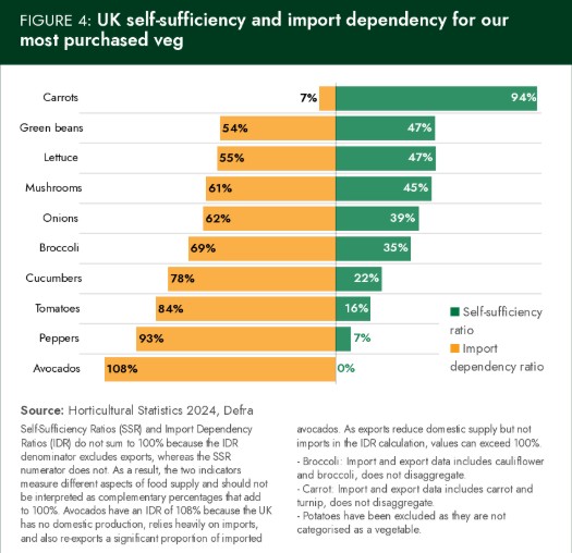 UK veg import dependency