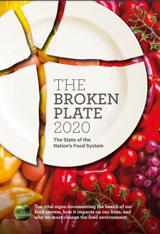 Broken Plate 20
