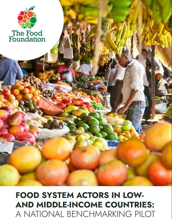 Food System Actors in Low and Middle-Income Countries