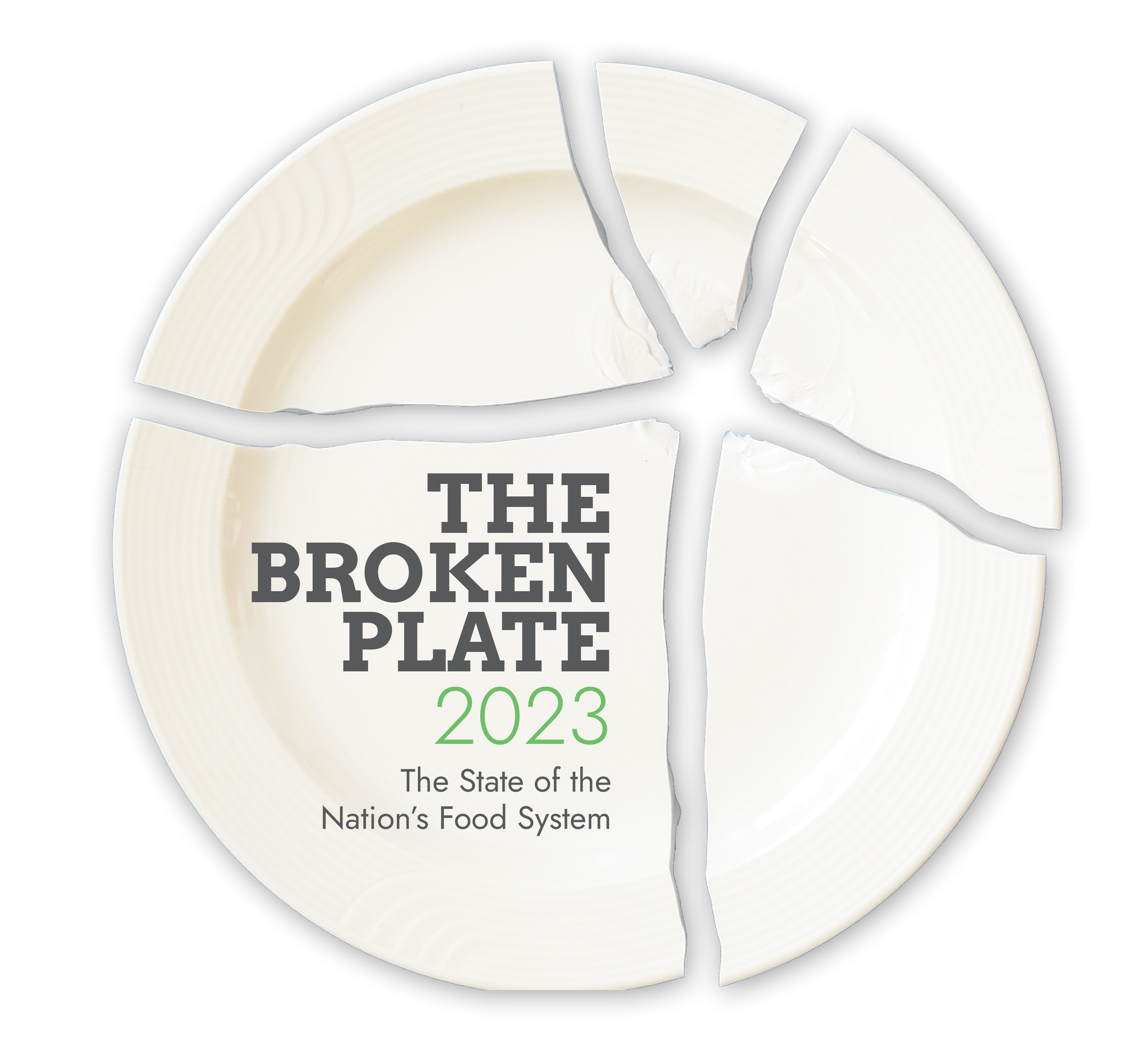 Broken Plate Icon