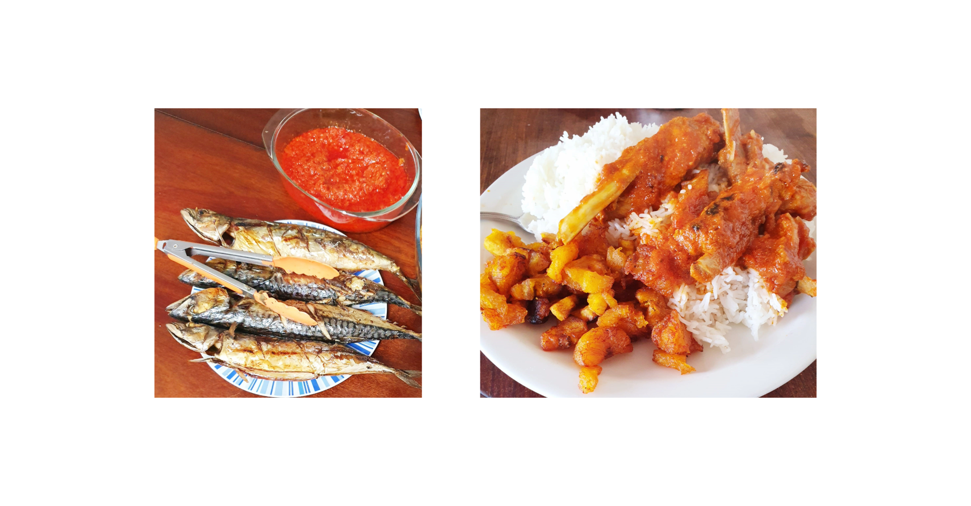 Two colourful plates of food: on the left fish with a tomatoe sauce and on the right Lamb and rice 