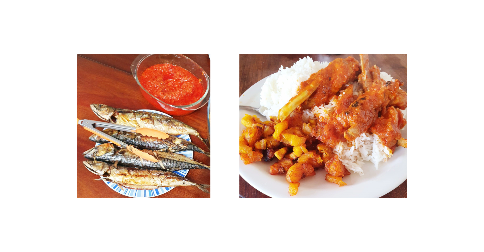 Two colourful plates of food: on the left fish with a tomatoe sauce and on the right Lamb and rice