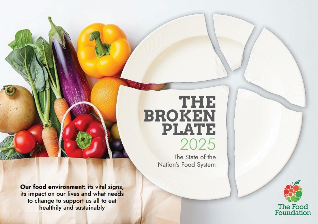 Broken Plate 2025 report 