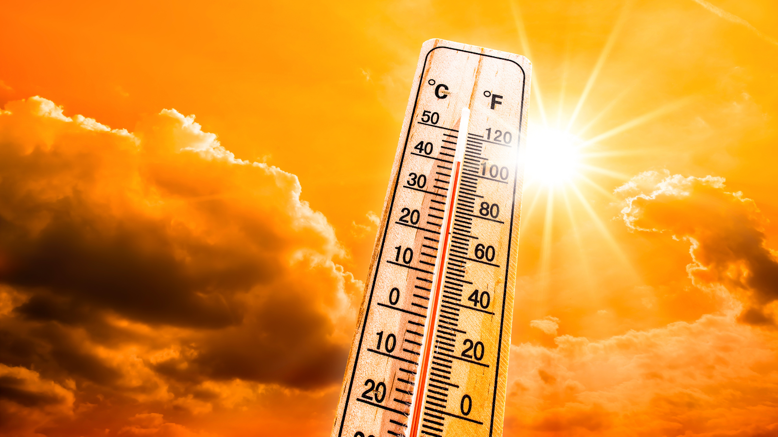 The impact of heatwaves on food prices