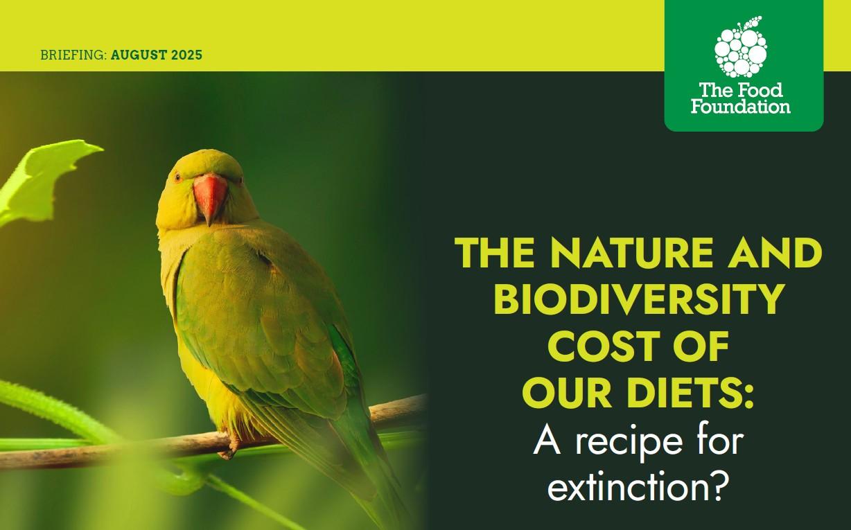 The Nature and Biodiversity Cost of our Diets