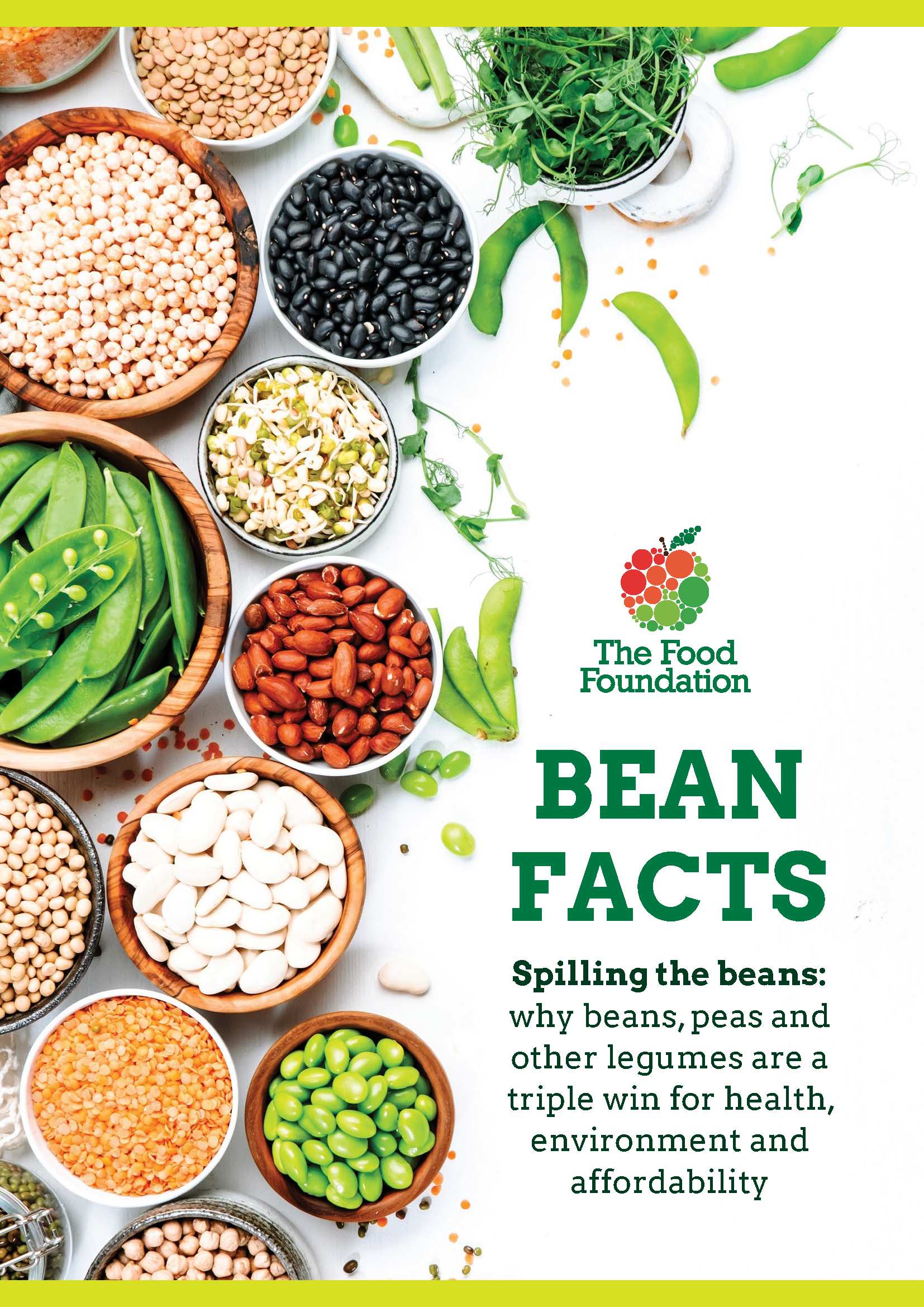 Bean Facts report cover