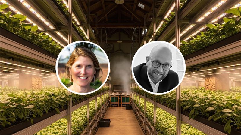 Denmark's plant-based revolution webianr