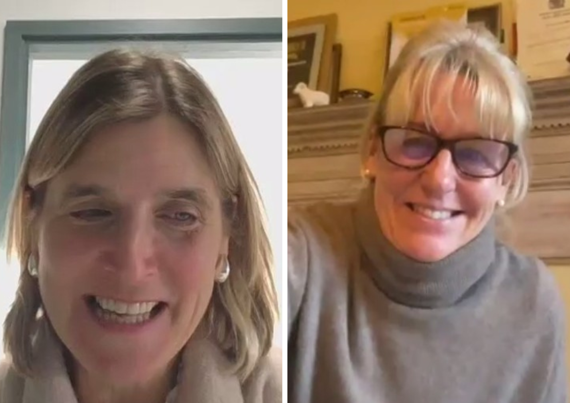 Minette Batters and Anna Taylor webinar