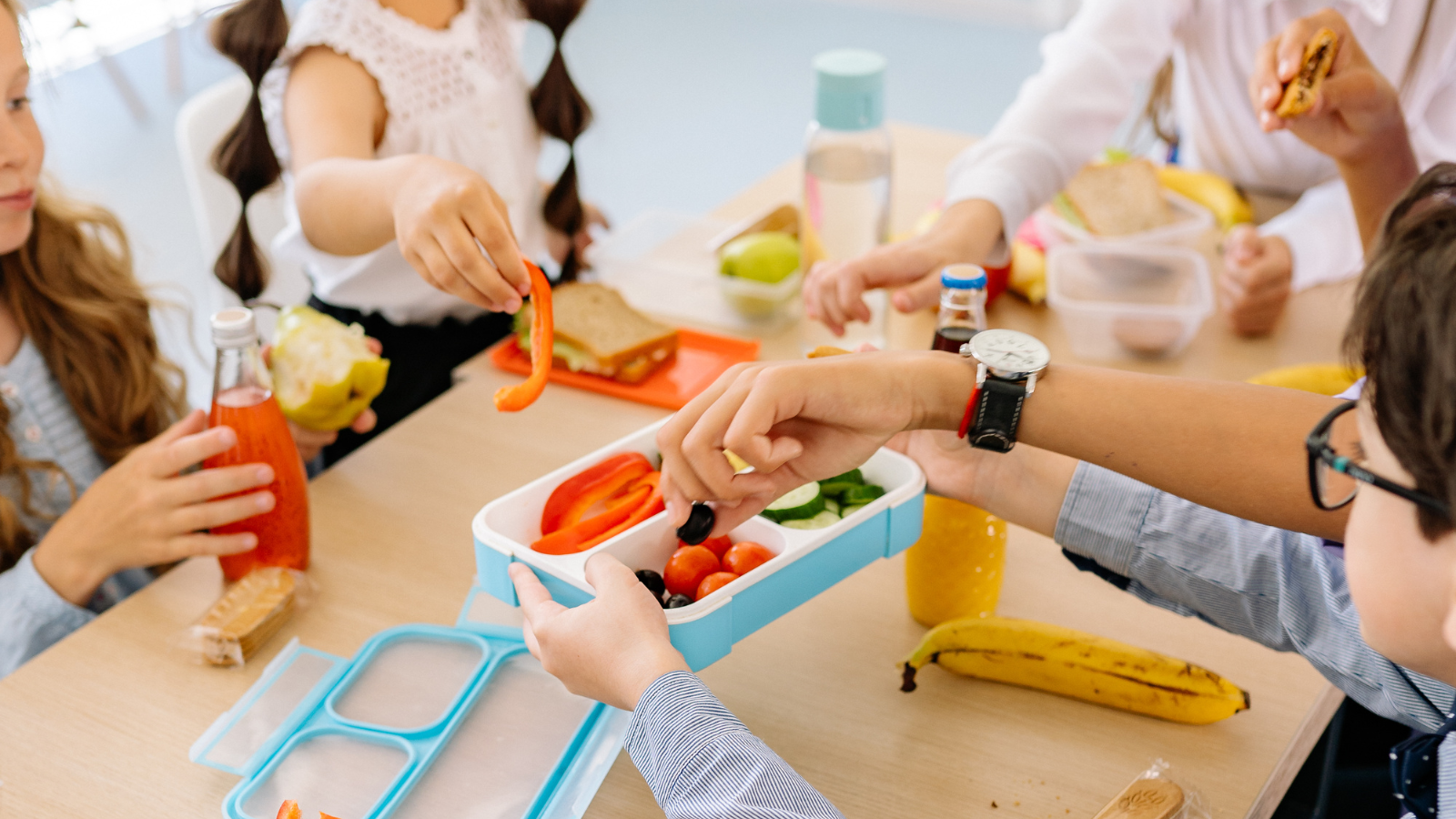 School food standards