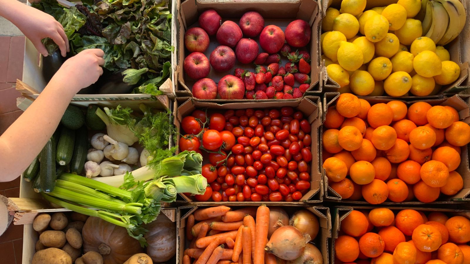 Healthy food 