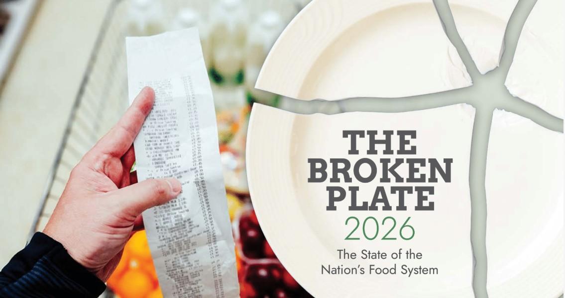 Broken Plate 2026 report 