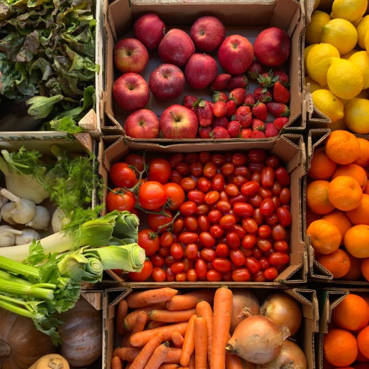 Healthy food 