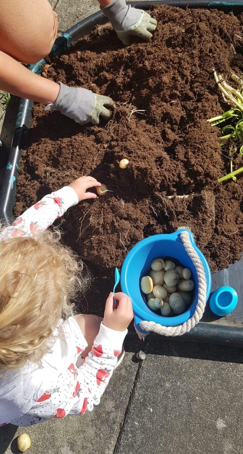 Children learning to grow their own food