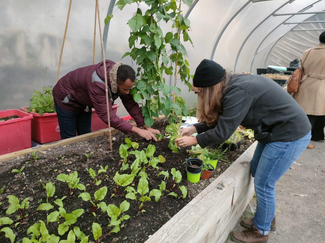 Veg advocates