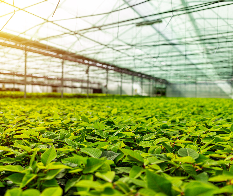 Horticulture