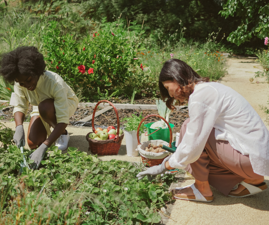 Place-based community food